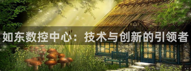 nba天辰娱乐