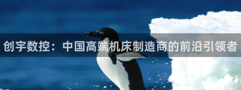 天辰娱乐老板