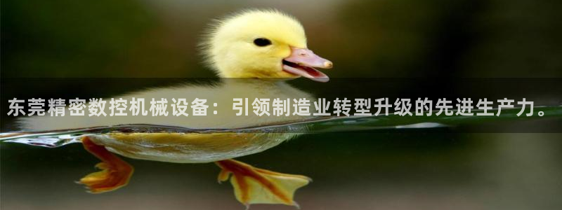 天辰(娱乐注册