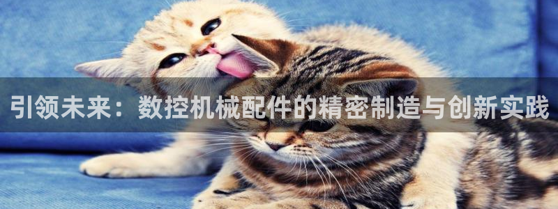 天辰娱乐平台注册