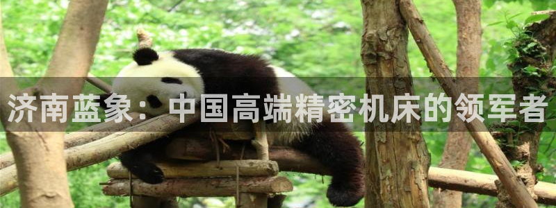 天辰团队贝高娱乐