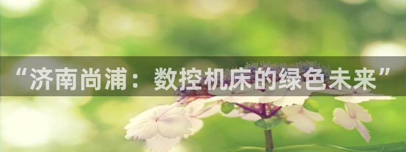 天辰娱乐总管年薪