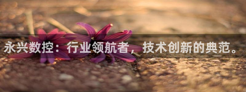 天辰娱乐下载