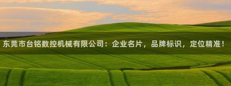 天辰娱乐简介