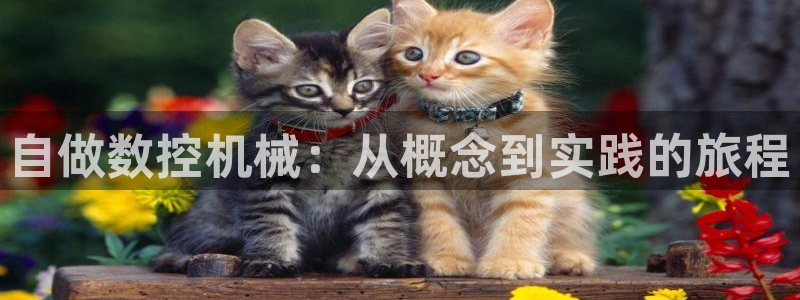 天辰娱乐天辰宝
