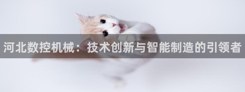天辰娱乐新