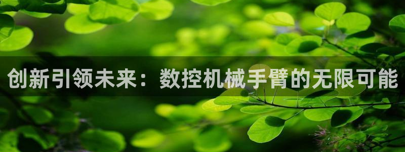 广东天辰娱乐