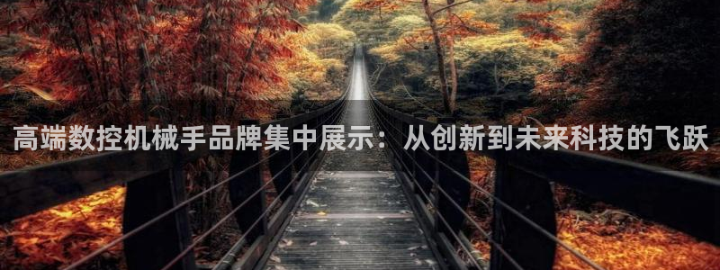 天辰娱乐登录网址