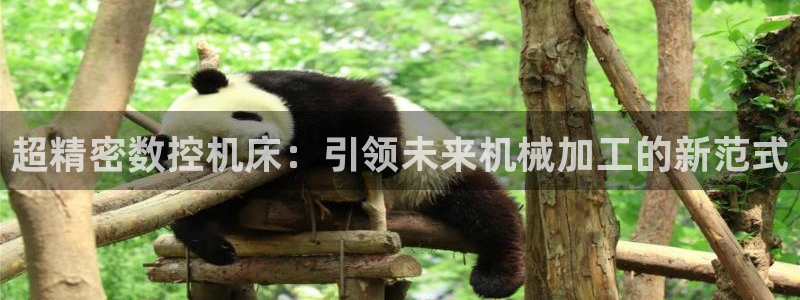 天辰娱乐会员