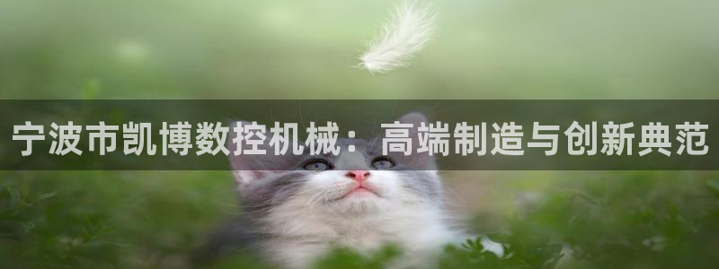 天辰说娱乐