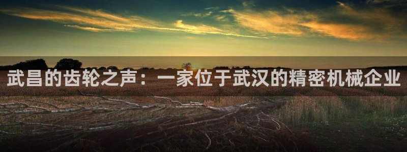 天辰娱乐游客