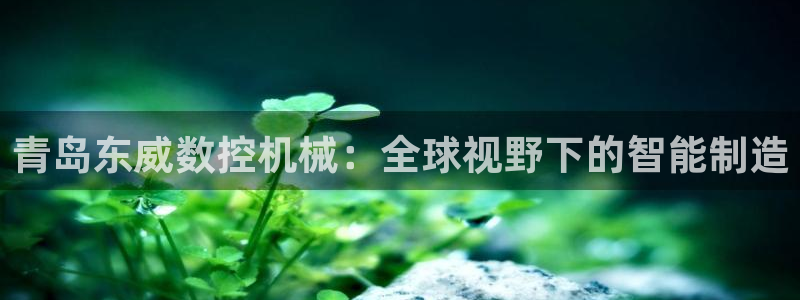 天辰娱乐51137