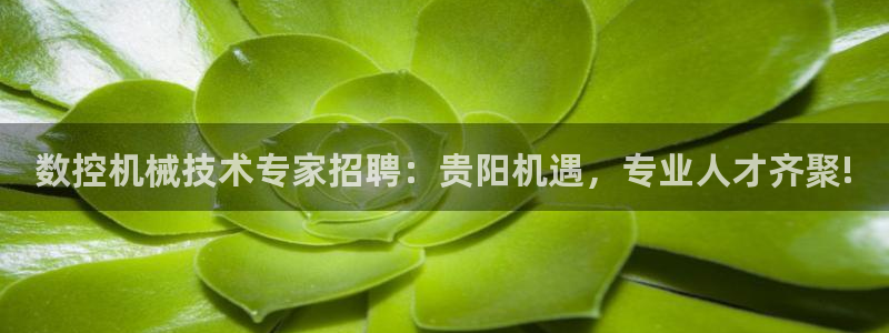 天辰娱乐招商