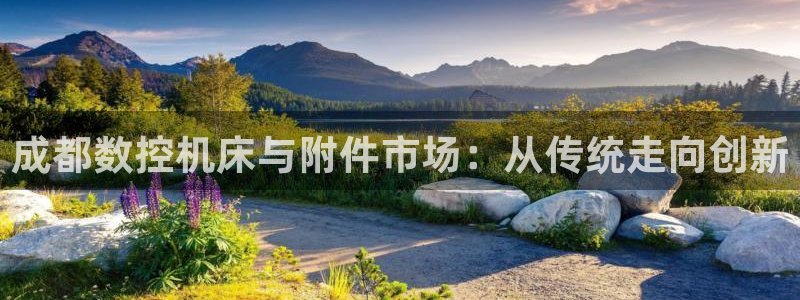 天辰娱乐台湾