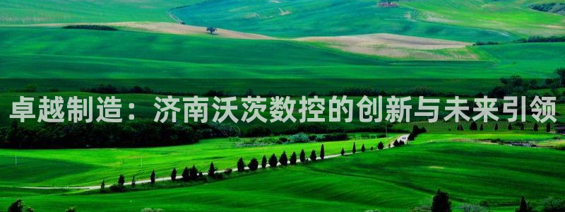 辰天娱乐用品