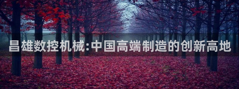 天辰娱乐游客