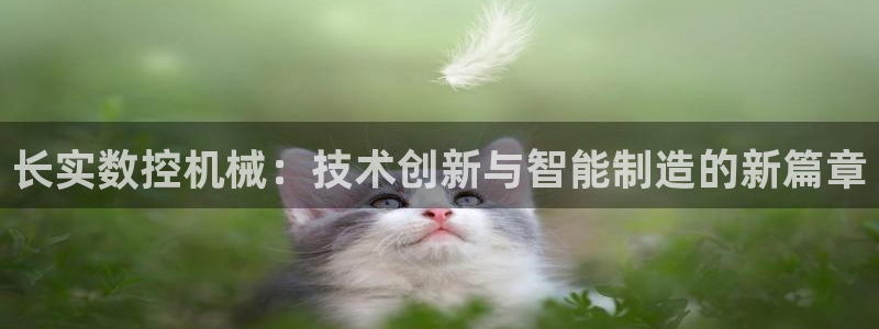 天辰娱乐481928