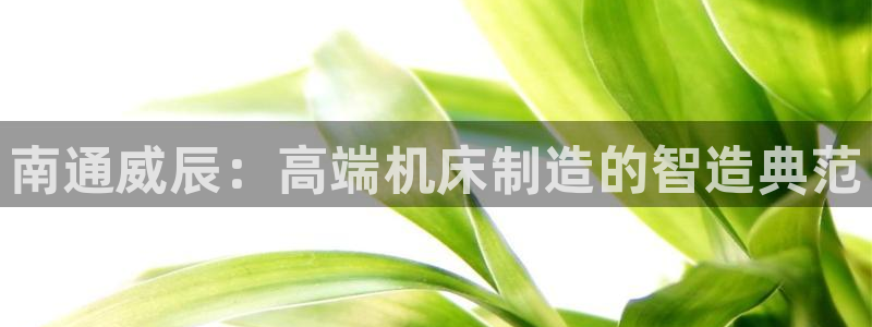辰天娱乐