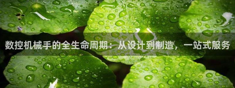 天辰娱乐53551