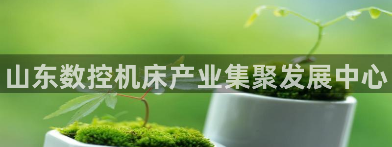 天辰娱乐直属