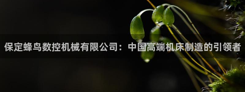 天辰娱乐连接