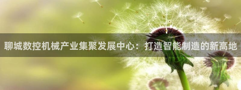 天辰娱乐视频