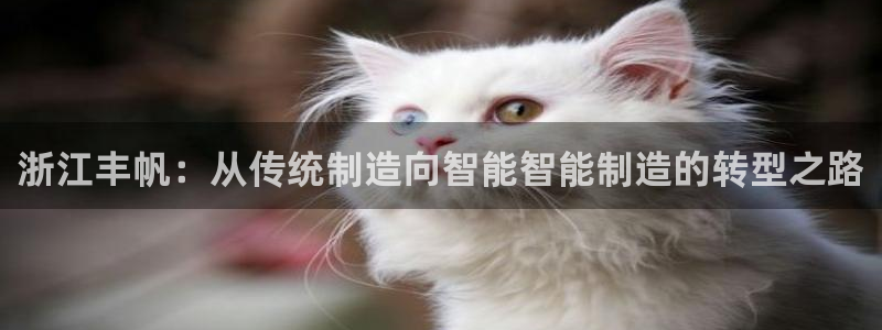 天辰娱乐APP下载