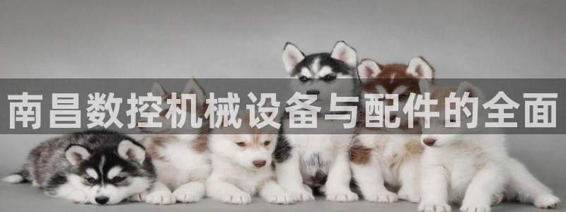 天辰娱乐官网