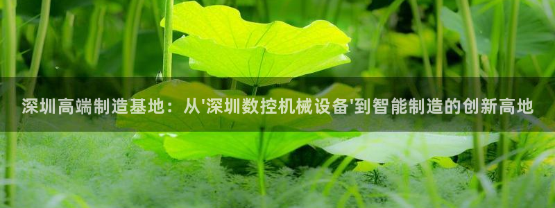 天辰娱乐反水：深圳高端制造基地：从\'深圳数控机械设备\'到智能制造的创新高地