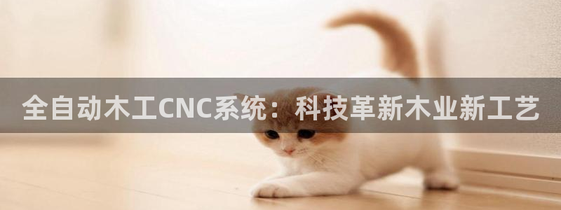 天辰在线娱乐：全自动木工CNC系统：科技革新木业新工艺