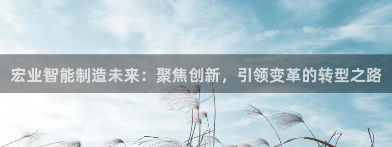 天辰娱乐招商