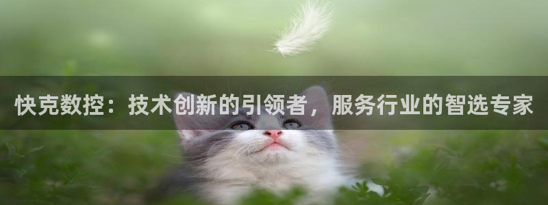 天辰宝宝娱乐