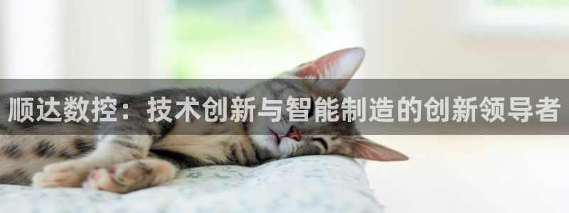 天辰娱乐娱乐