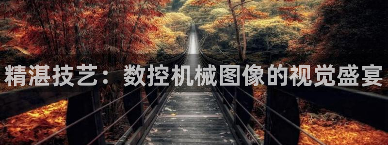 天辰娱乐传媒