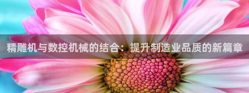 天辰娱乐厕所