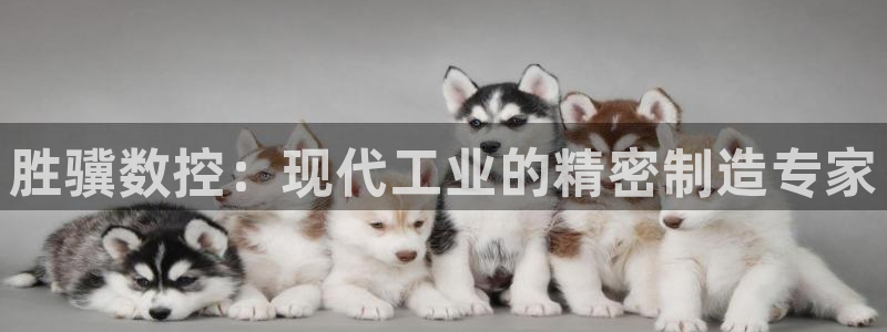 天辰娱乐客服：胜骥数控：现代工业的精密制造专家