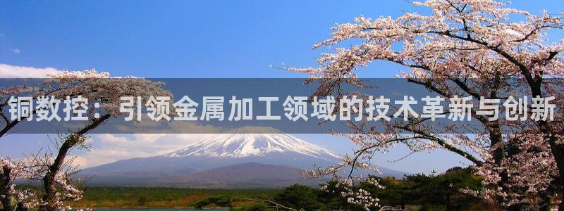 天辰娱乐官方网