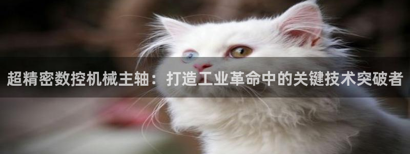 天辰娱乐总管年薪