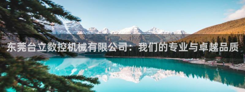 天辰娱乐路线：东莞台立数控机械有限公司：我们的专业与卓越品质