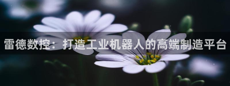 天辰水娱乐：雷德数控：打造工业机器人的高端制造平台