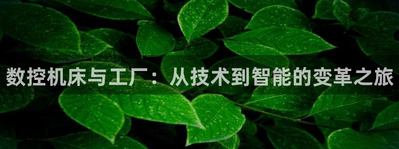 天辰娱乐跑的快：数控机床与工厂：从技术到智能的变革之旅