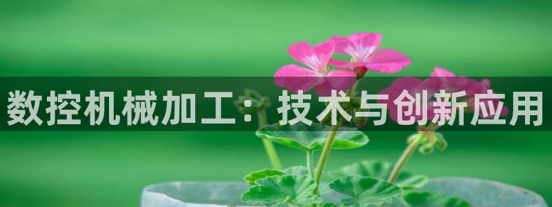 天辰娱乐登陆