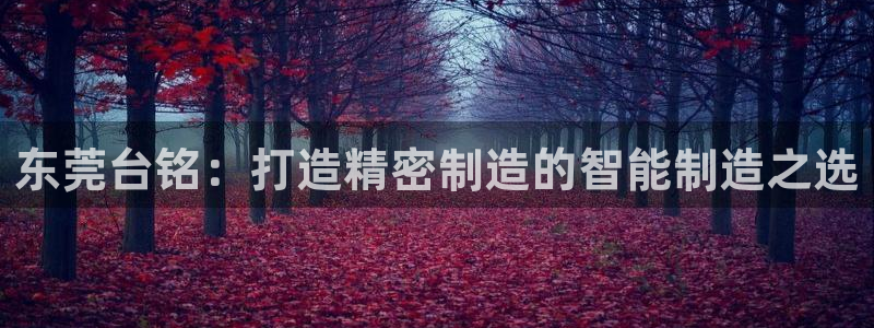 天辰娱乐指尖所