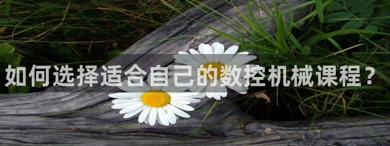 天辰娱乐官网平台下载：如何选择适合自己的数控机械课程？