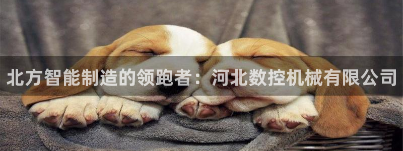 天辰娱乐游客