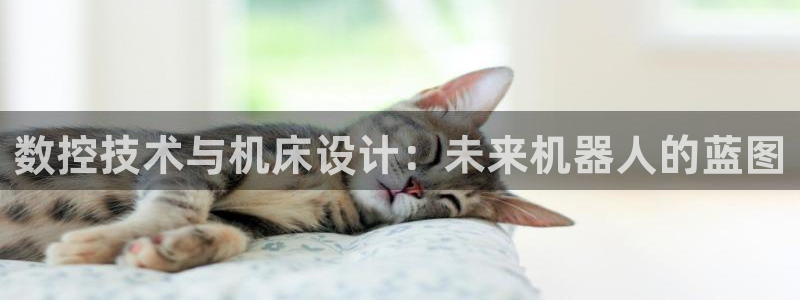 天辰娱乐挂机