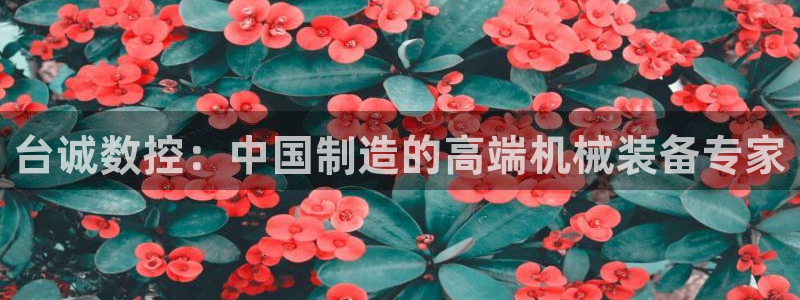 深圳天辰娱乐：台诚数控：中国制造的高端机械装备专家