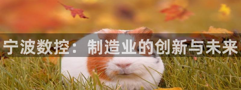 天辰娱乐44616：宁波数控：制造业的创新与未来