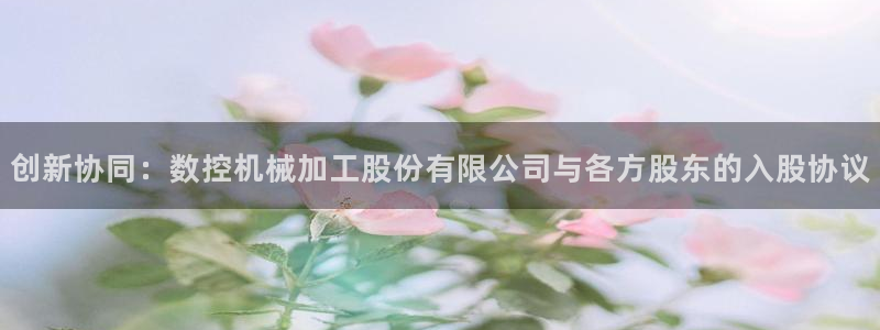 天辰娱乐主管：创新协同：数控机械加工股份有限公司与各方股东的入股协议