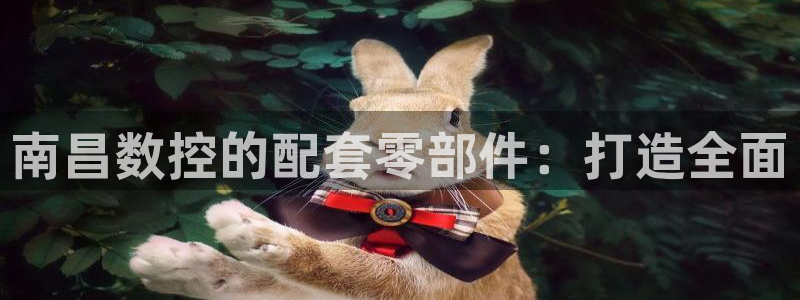 天辰娱乐官方登录入口